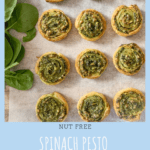 spinach and pesto pinwheels on baking paper next to spinach