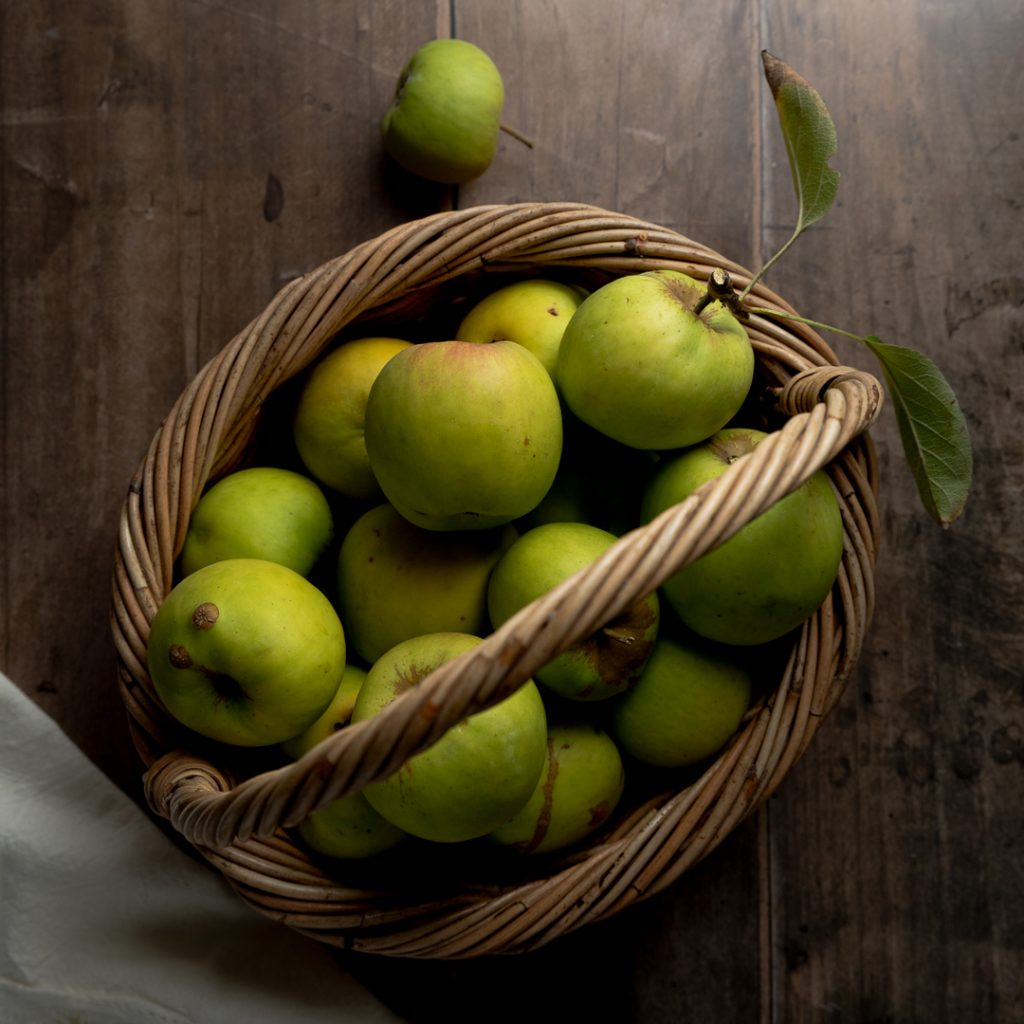 A basket of windfall apples on wooden background.