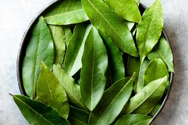 close up overhead photo of fresh bay leaves in a bowl
