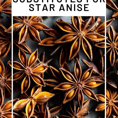 image with text overlay to create pin for Pinterest for the best substitutes for star anise