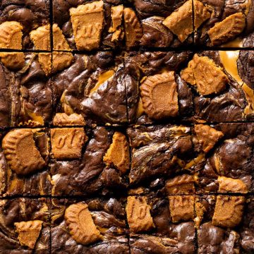 Just baked Biscoff brownies with Lotus biscuits and biscoff cookie spread on the top.