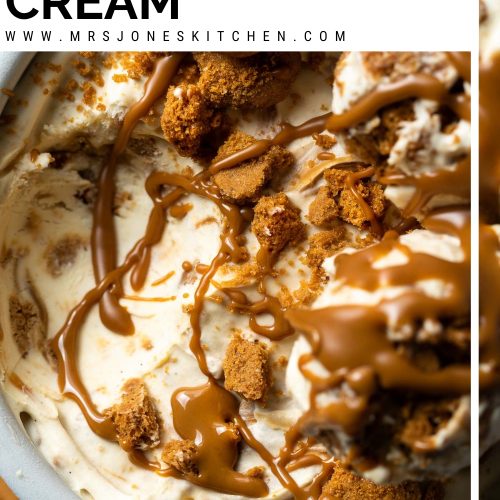 Close up of Biscoff ice cream in a container with text overlay to create a pin for Pinterest.