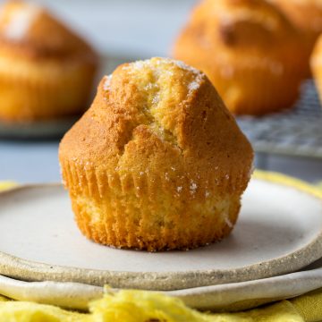 Spanish Magdalenas cupcake on white plate.